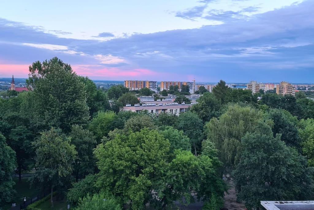 Uroczy, Jasny Apartament Oraz Bezplatny Parking! Apartment คราคูฟ ภายนอก รูปภาพ